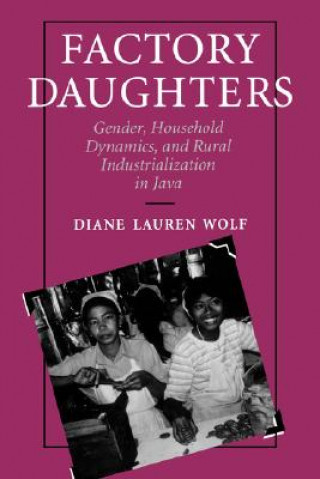 Kniha Factory Daughters Diane Lauren Wolf