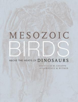 Książka Mesozoic Birds Luis M. Chiappe