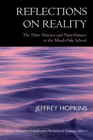 Kniha Reflections on Reality Jeffrey Hopkins