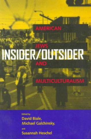 Kniha Insider/Outsider David Biale