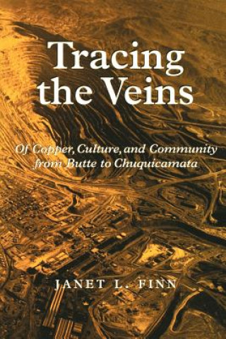 Kniha Tracing the Veins Janet L. Finn