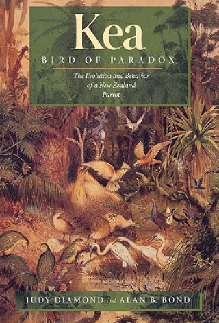 Könyv Kea, Bird of Paradox Alan B. Bond