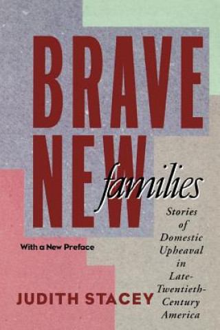 Kniha Brave New Families Judith Stacey