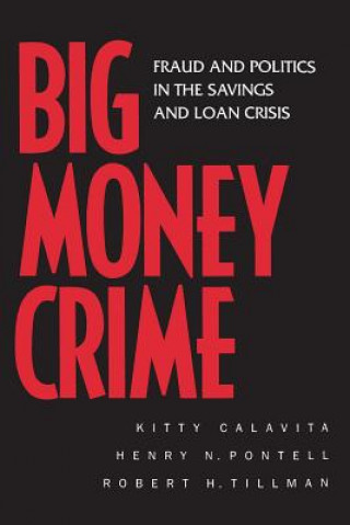 Kniha Big Money Crime Kitty Calavita