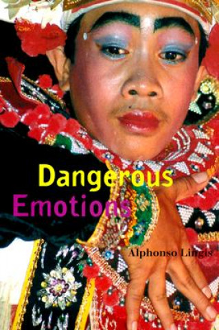 Kniha Dangerous Emotions Alphonso Lingis