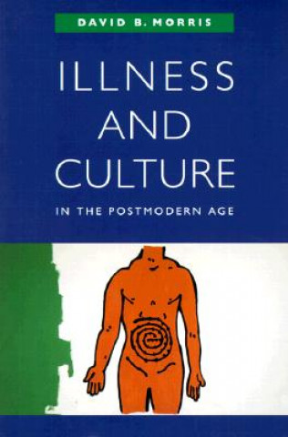 Kniha Illness and Culture in the Postmodern Age David B. Morris