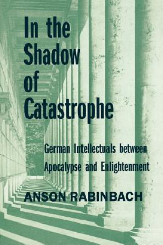 Kniha In the Shadow of Catastrophe Anson Rabinbach