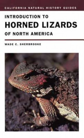 Książka Introduction to Horned Lizards of North America Wade C. Sherbrooke