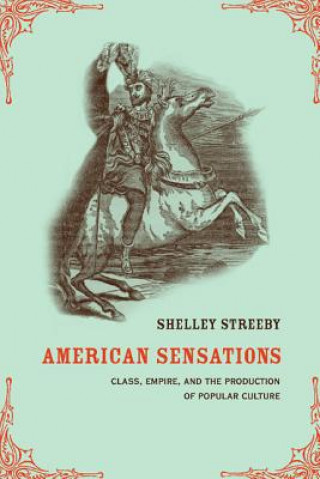 Βιβλίο American Sensations Shelley Streeby