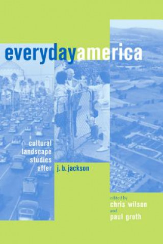 Książka Everyday America Chris Wilson