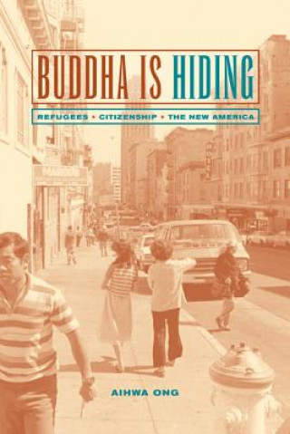 Kniha Buddha Is Hiding Aihwa Ong
