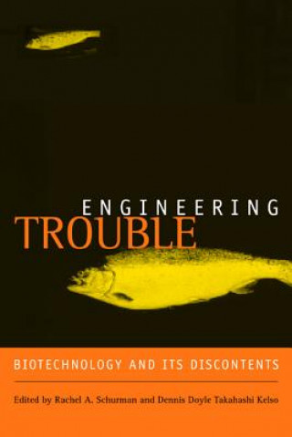 Könyv Engineering Trouble Rachel A. Schurman
