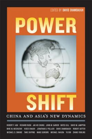 Kniha Power Shift D. Shambaugh