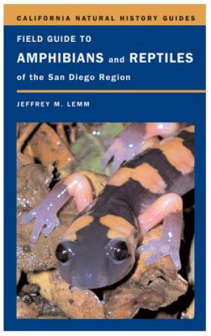 Kniha Field Guide to Amphibians and Reptiles of the San Diego Region Jeffrey M. Lemm