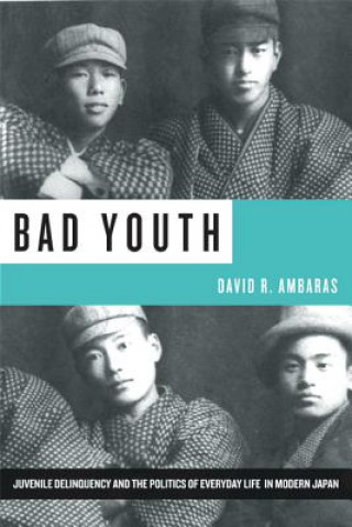 Carte Bad Youth David R. Ambaras