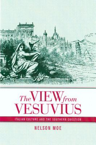 Libro View from Vesuvius Nelson J. Moe