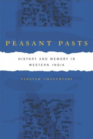 Kniha Peasant Pasts Vinayak Chaturvedi