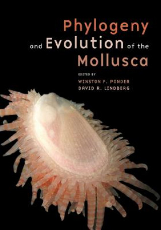 Kniha Phylogeny and Evolution of the Mollusca Winston Ponder
