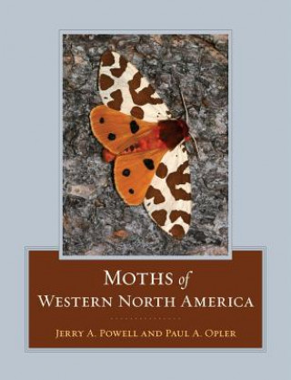 Kniha Moths of Western North America Jerry A. Powell