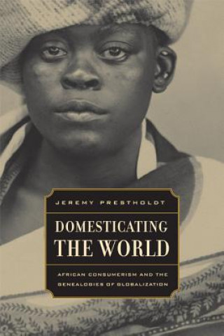 Kniha Domesticating the World Jeremy Prestholdt