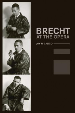 Książka Brecht at the Opera Joy H. Calico