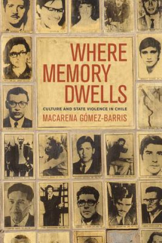 Book Where Memory Dwells Macarena Gomez-Barris