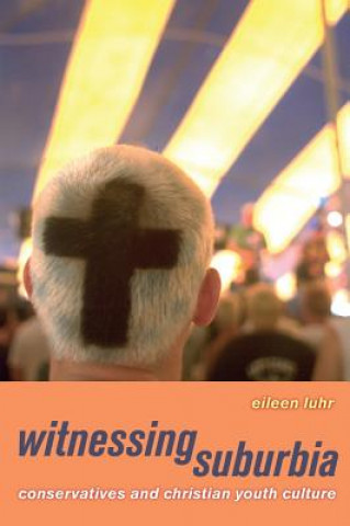 Kniha Witnessing Suburbia Eileen Luhr