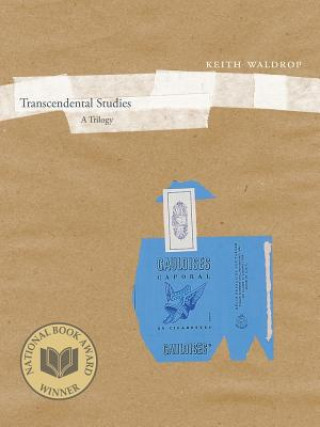 Книга Transcendental Studies Keith Waldrop