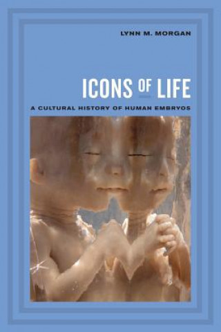 Kniha Icons of Life Lynn M. Morgan