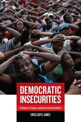 Könyv Democratic Insecurities Erica James