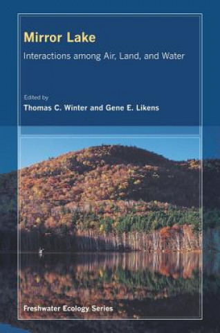 Kniha Mirror Lake Thomas C. Winter