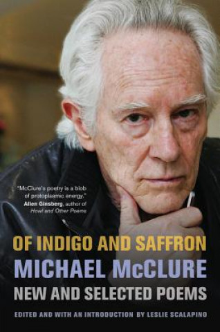 Kniha Of Indigo and Saffron Michael McClure