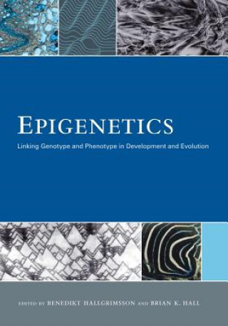 Book Epigenetics Benedikt Hallgrimsson