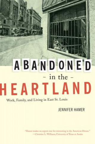 Книга Abandoned in the Heartland Jennifer Hamer