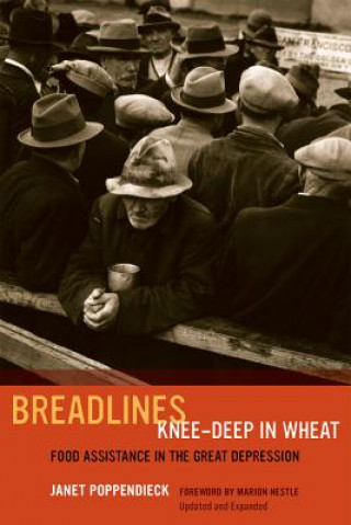 Boek Breadlines Knee-Deep in Wheat Janet Poppendieck