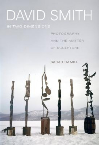 Kniha David Smith in Two Dimensions Sarah Hamill