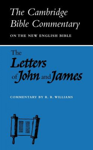 Книга Letters of John and James Mr. Raymond Brady Williams