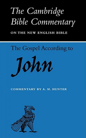 Kniha Gospel according to John Alan Hunter