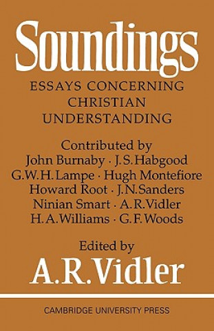 Knjiga Soundings Vidler