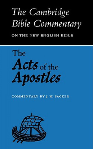 Kniha Acts of the Apostles J.W. Packer