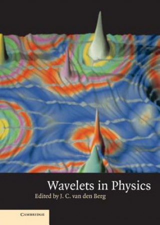 Knjiga Wavelets in Physics J. C. Van Den Berg