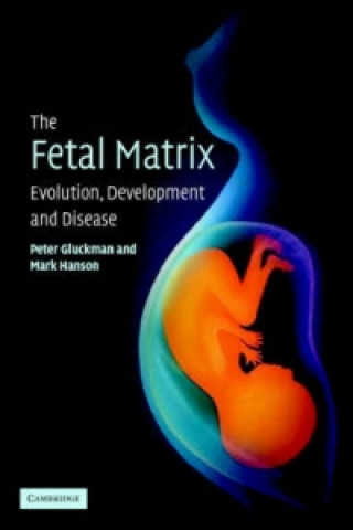 Kniha Fetal Matrix: Evolution, Development and Disease Peter D. Gluckman