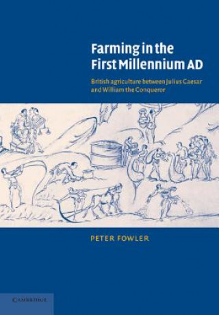 Buch Farming in the First Millennium AD P.J. Fowler