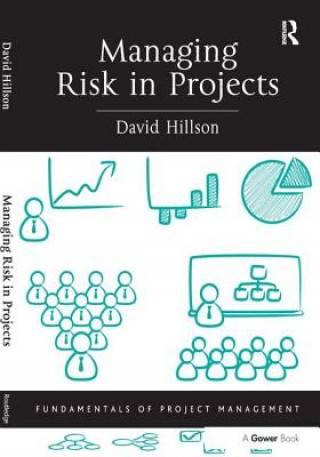 Kniha Managing Risk in Projects David Hillson