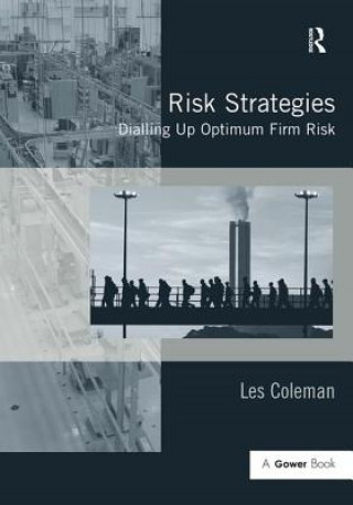 Kniha Risk Strategies Les Coleman