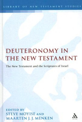 Kniha Deuteronomy in the New Testament Steve Moyise