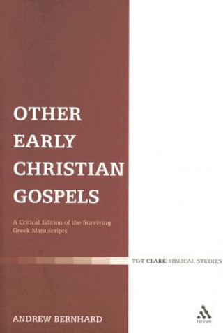 Book Other Early Christian Gospels Andrew Eric Bernhard