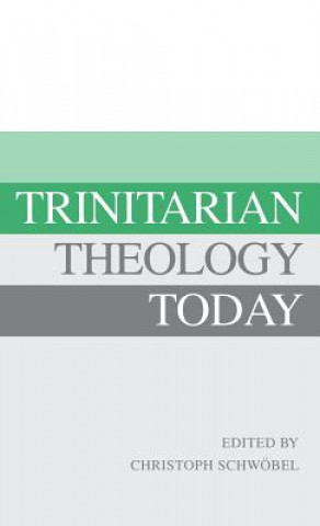 Książka Trinitarian Theology Today Christoph Schwobel