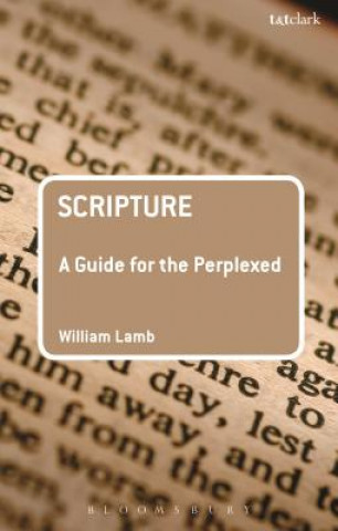 Kniha Scripture: A Guide for the Perplexed William R S Lamb