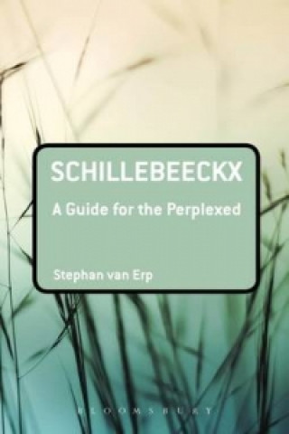 Könyv Schillebeeckx: A Guide for the Perplexed Stephan Van Erp